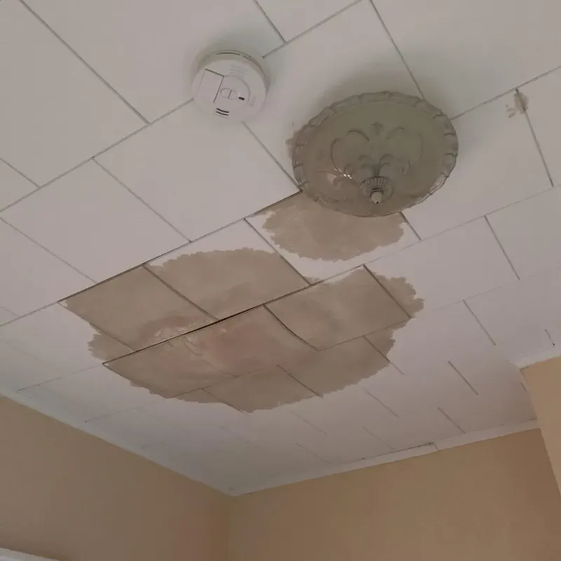 Ceiling Water Damage Repair in Saint Simon Mills, GA