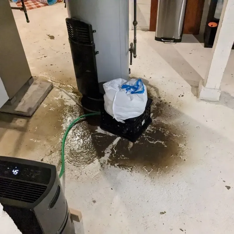 Sewage Backup Cleanup Service in Saint Simon Mills, GA